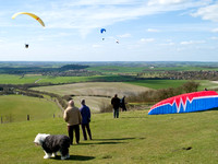 Paragliding 2006
